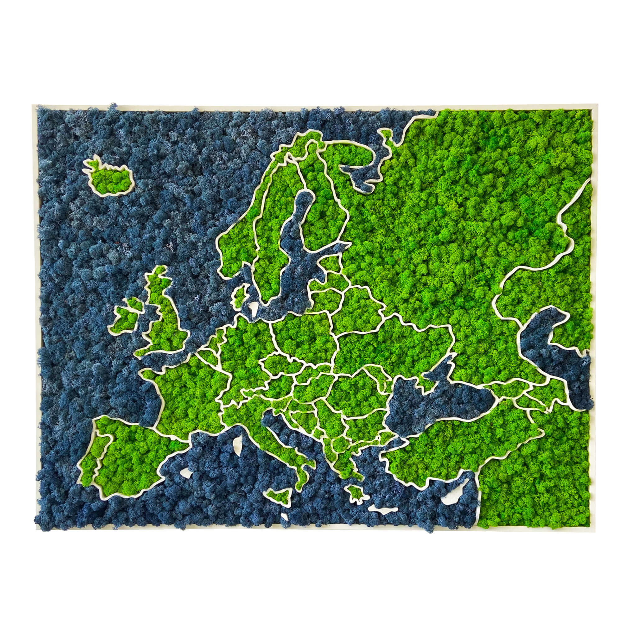 3D mechová mapa Evropy - organický lišejník