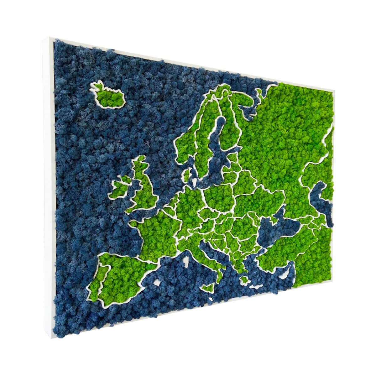3D mechová mapa Evropy - organický lišejník
